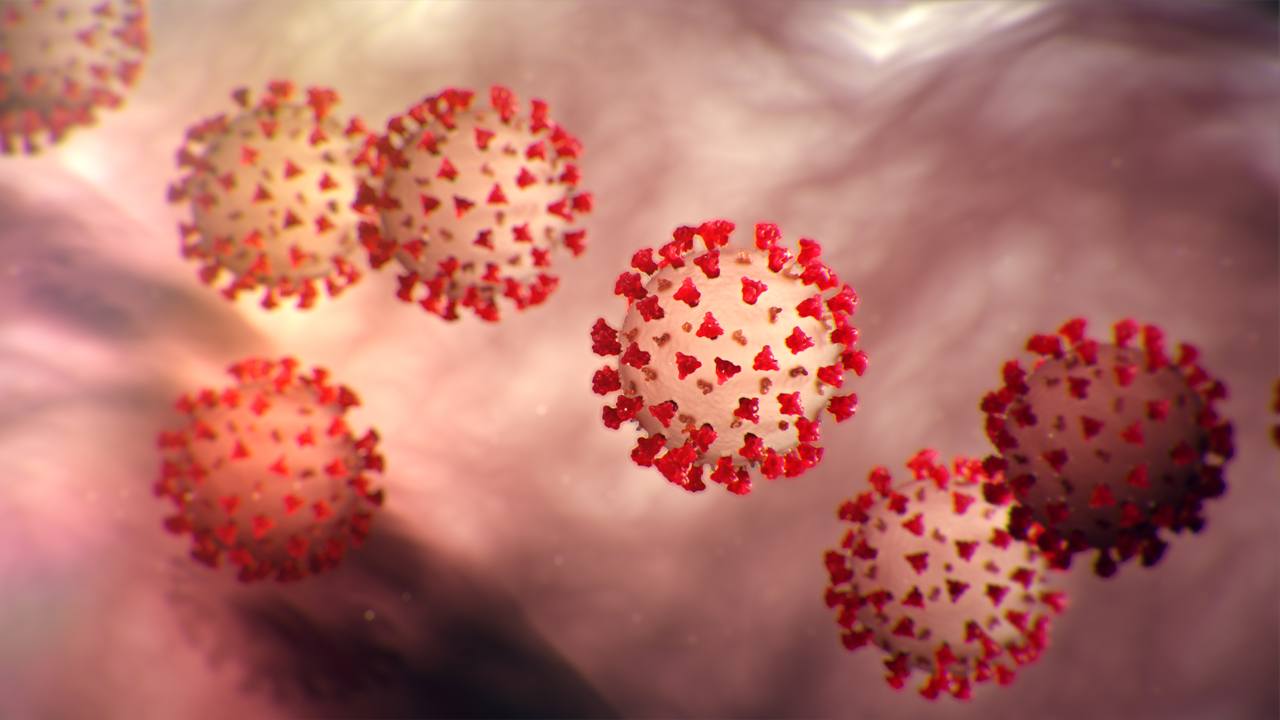 ในมุมแย่ ๆ แต่โคโรนาไวรัสก็สามารถเปลี่ยน 10 ชีวิตประจำวันได้