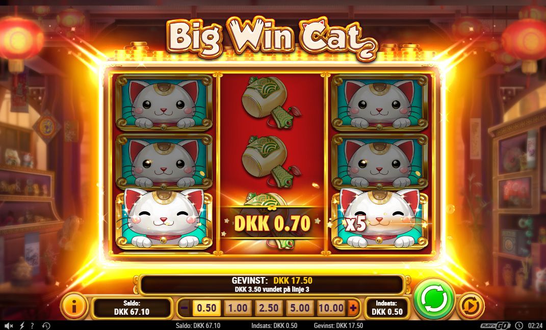 ปลดปล่อยโชค: รับเงินจริงกับ เกมสล็อตออนไลน์ Big Win Cat!